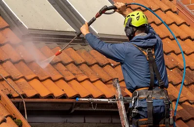 Démoussage et hydrofuge de toiture à Rouède
